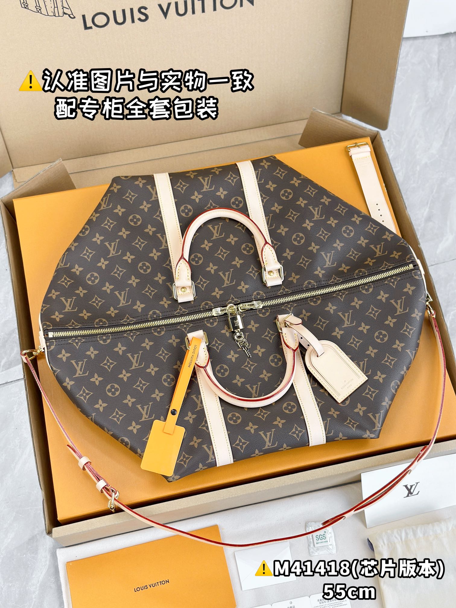 LV Travel Bags